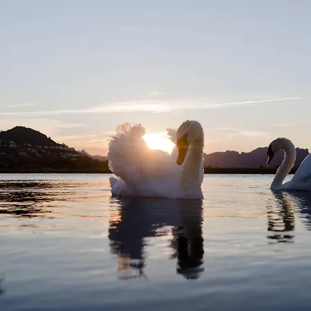 Marriott La Sella Golf &
