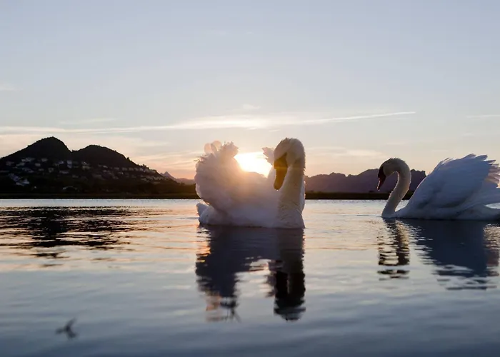 Marriott La Sella Golf &